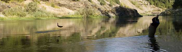 Marble Mountain Ranch Fly Fishing