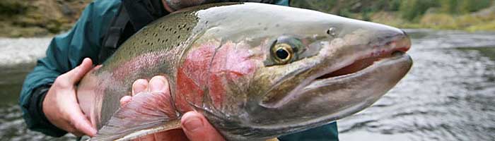 Marble Mountain Ranch Fly Fishing