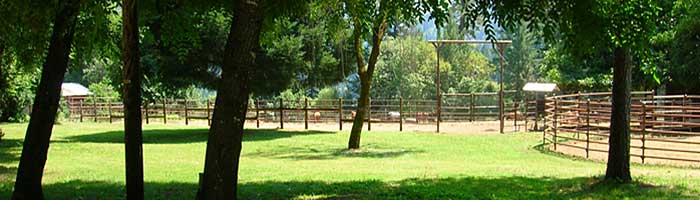 Marble Mountain Ranch Arena Riding