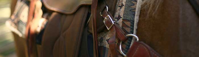 Marble Mountain Ranch Riding