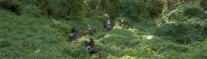 Marble Mountain Ranch Riding