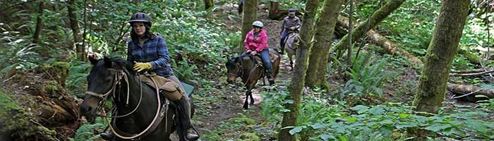 Marble Mountain Ranch Riding